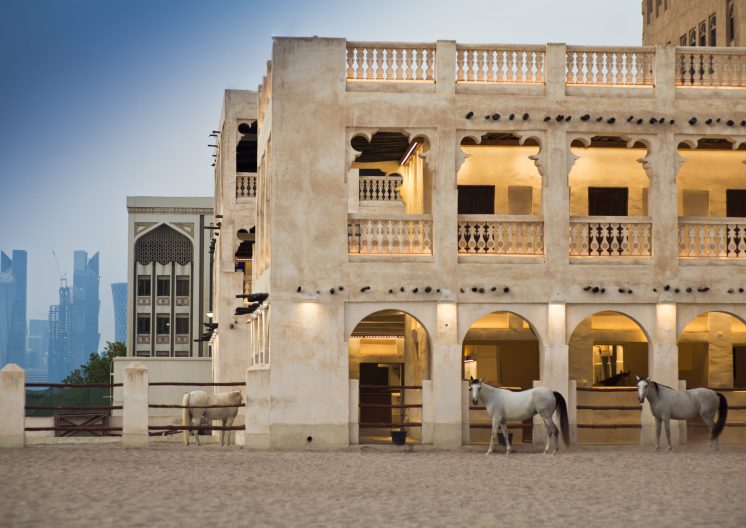 Horse standing at Souq Wakif Doha Qatar